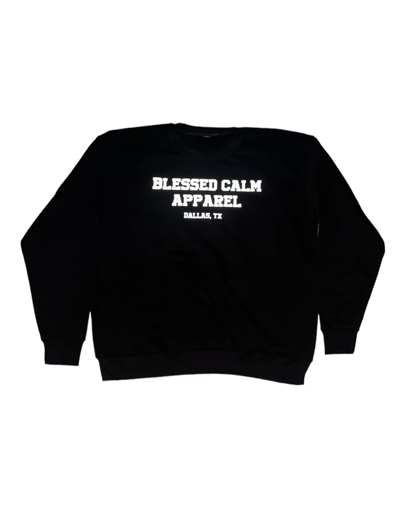 Bliss Reverse 3M Sweatshirt